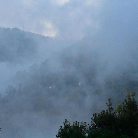 Bagar Trails Hotel Nainital Buitenkant foto