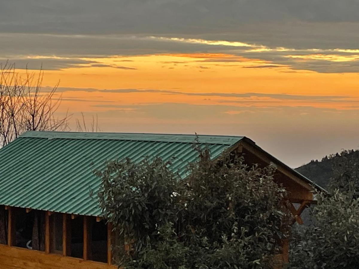 Bagar Trails Hotel Nainital Buitenkant foto